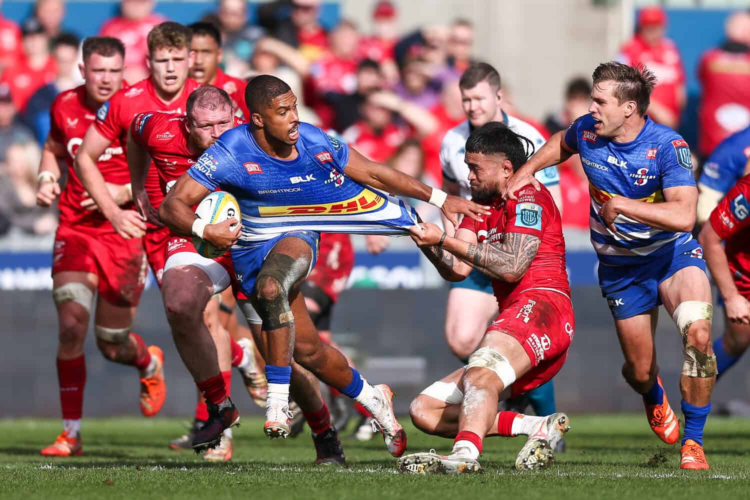 stormers vs ulster