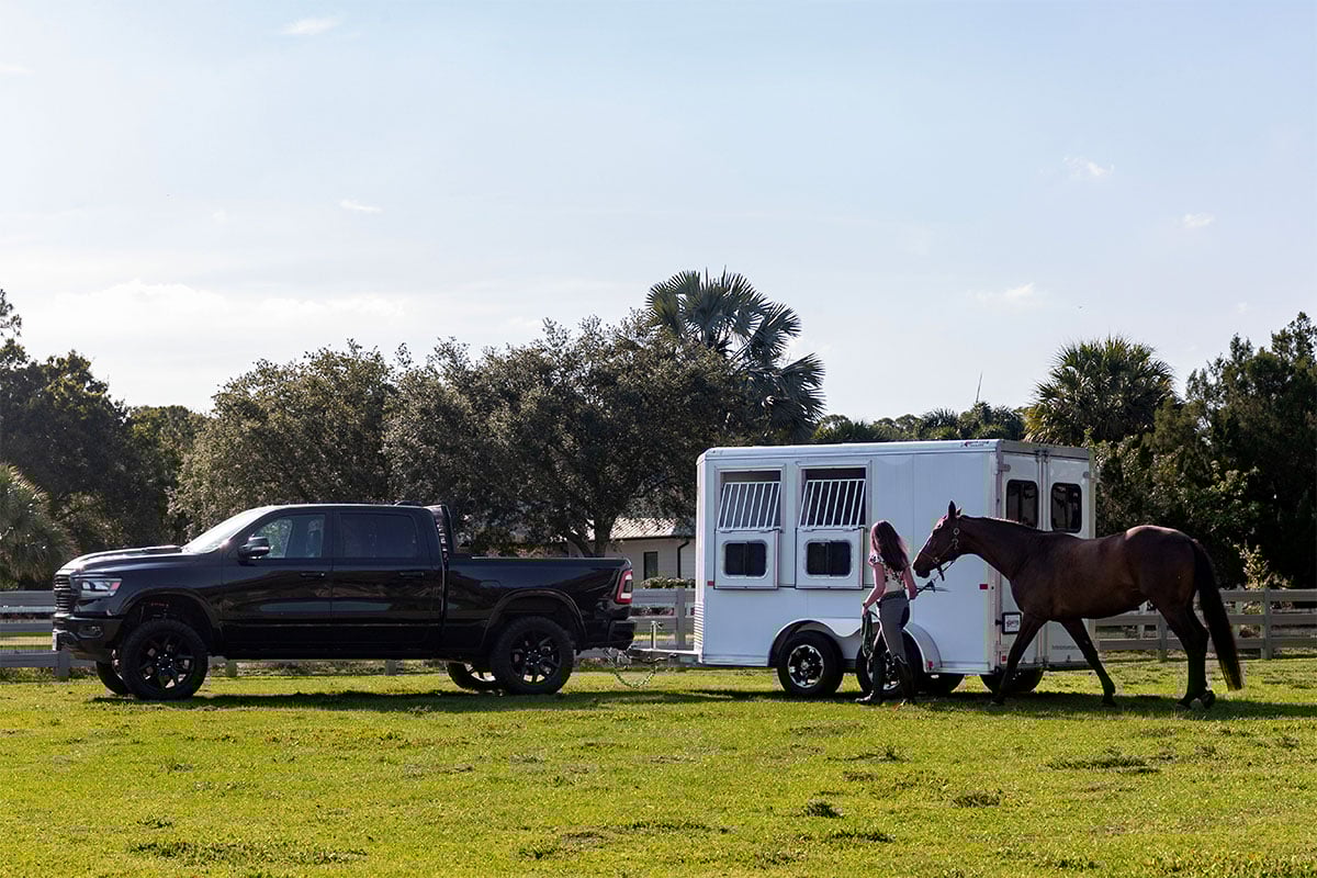 Horse Trailers