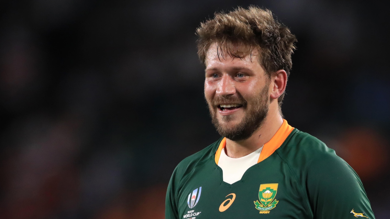 frans steyn