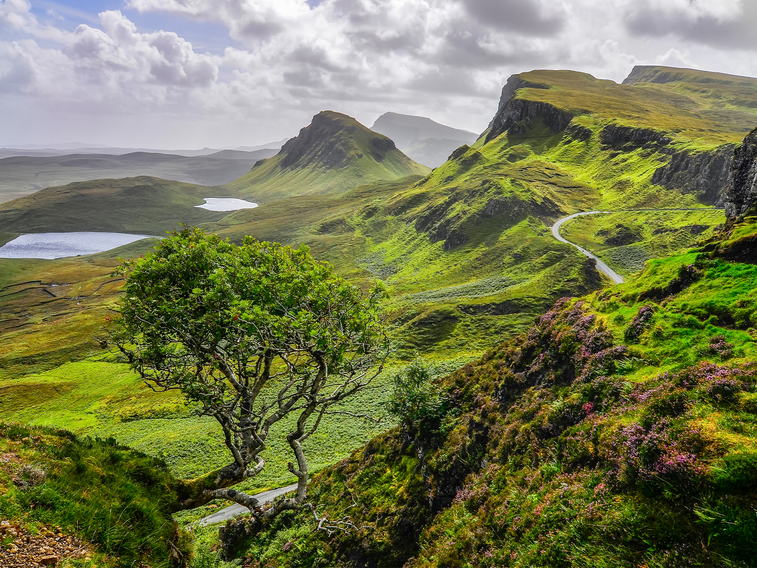 Scottish tours
