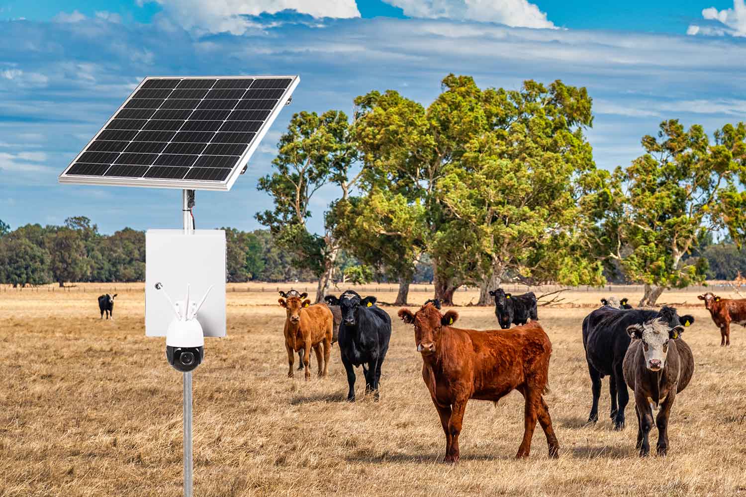 Off-grid CCTV for farms