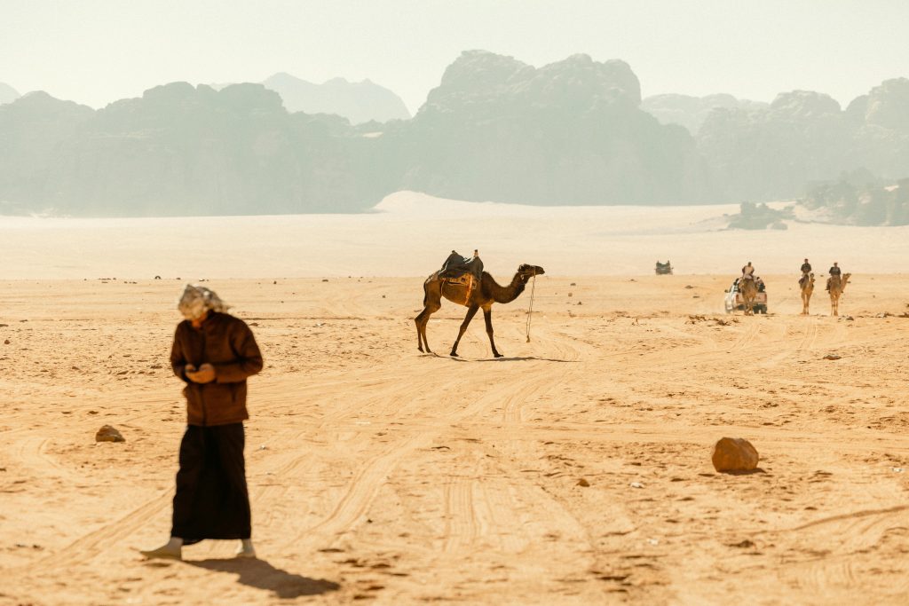 Jordan desert safari tours